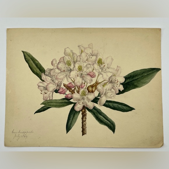 Other - 1869 Floral Folk Art Watercolor on Paper